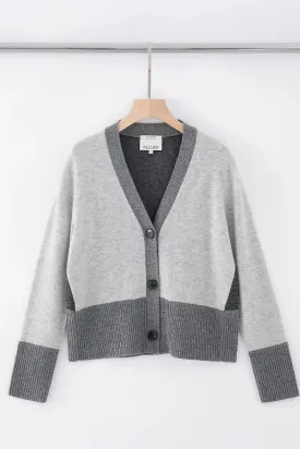 Aleger Cashmere Multi Coloured Cashmere in Greys