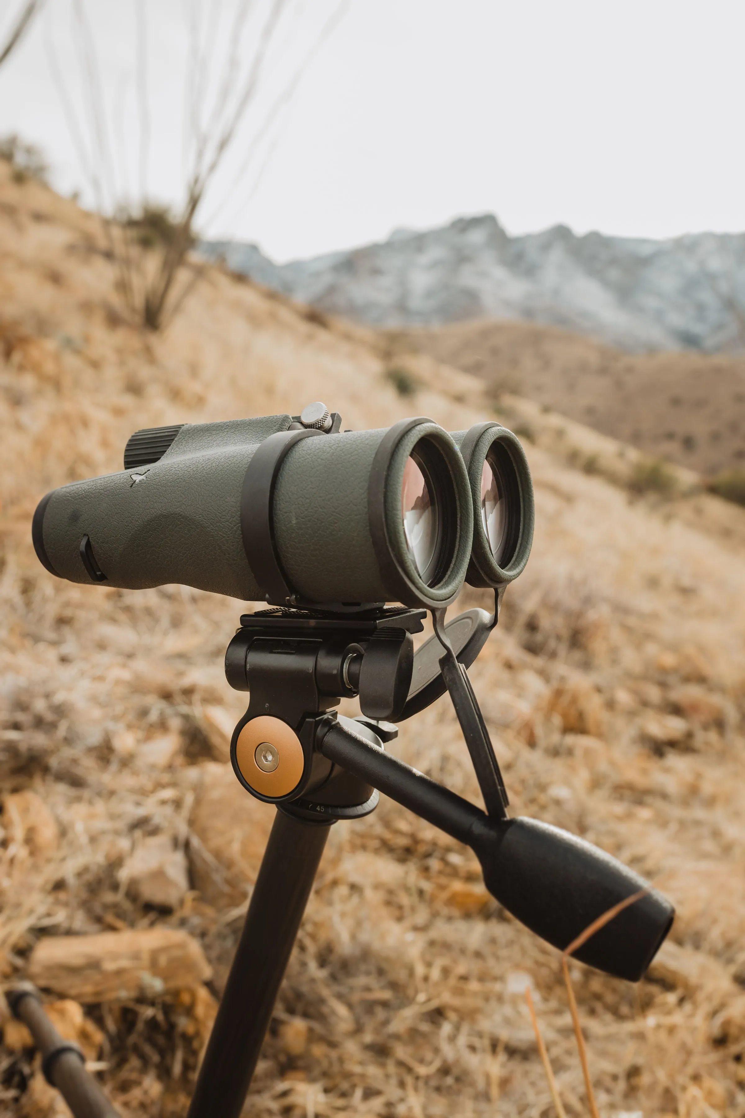 Binocular Tripod Adapter