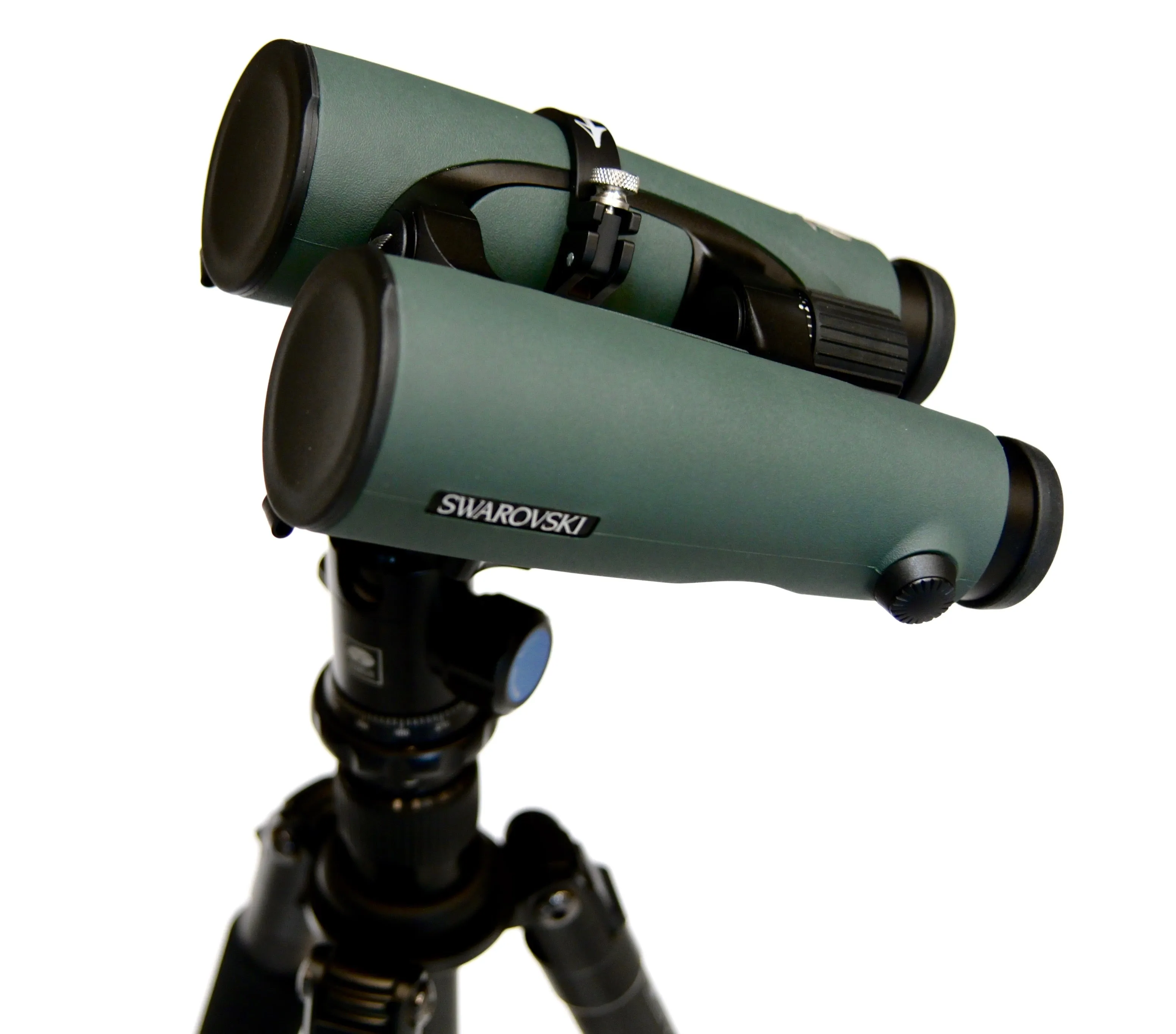 Binocular Tripod Adapter