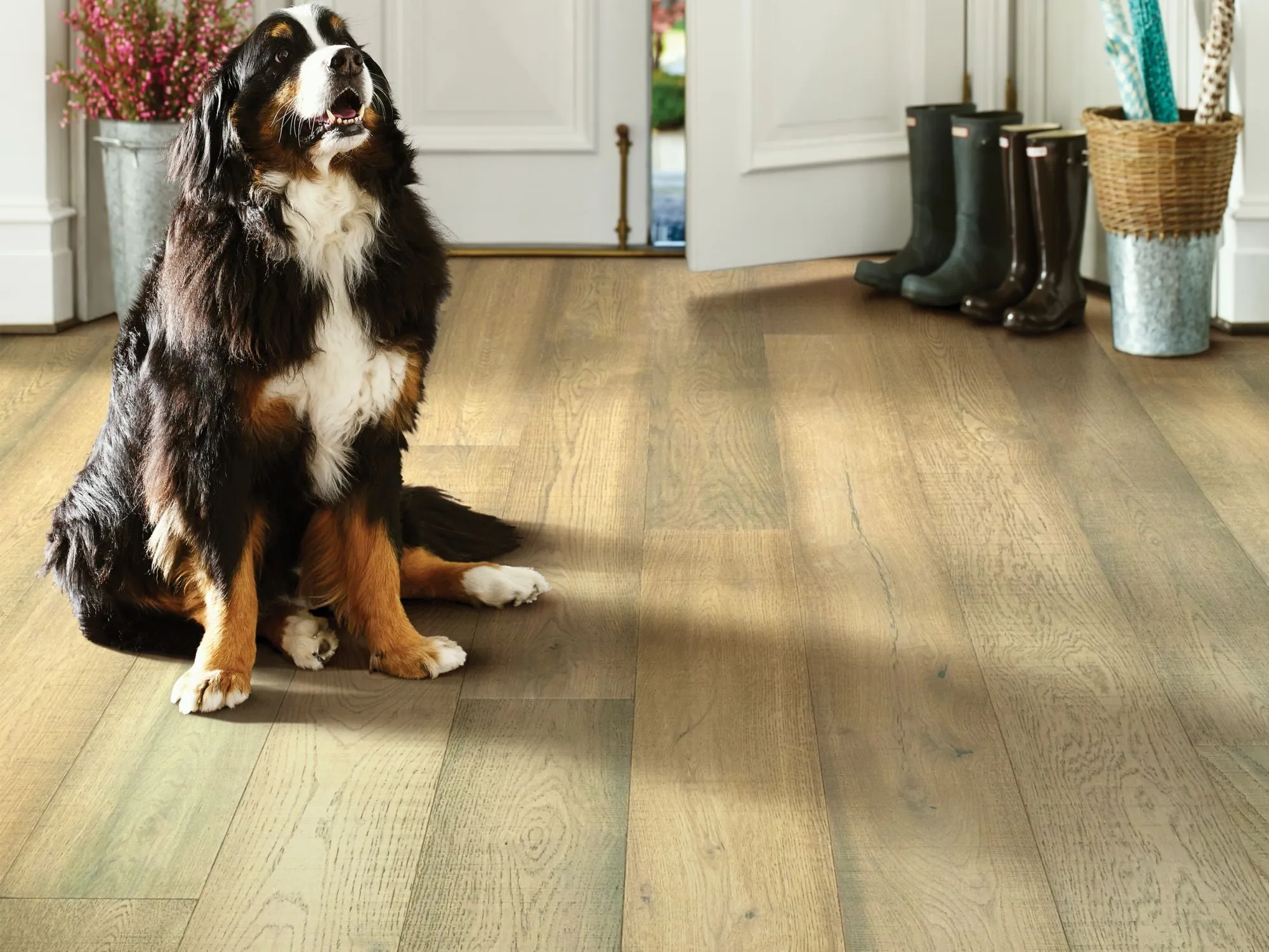 Exquisite Floorte Hardwood