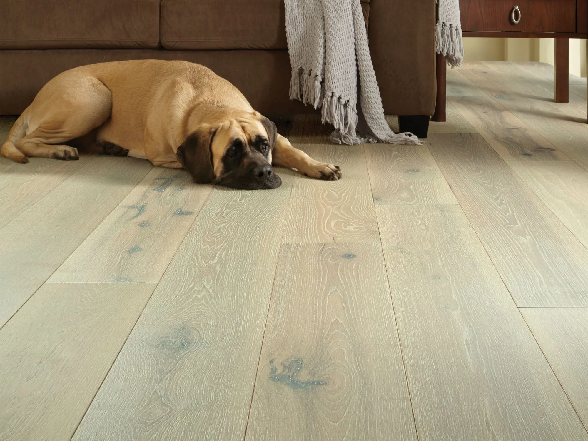 Exquisite Floorte Hardwood